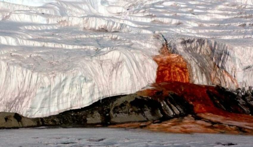  Resuelto el misterio de las ‘cataratas de sangre’ de la Antártida