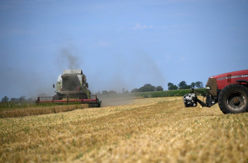  Ucrania y Rusia apuntan a objetivos estratégicos en medio de la suspensión del ‘acuerdo del grano’