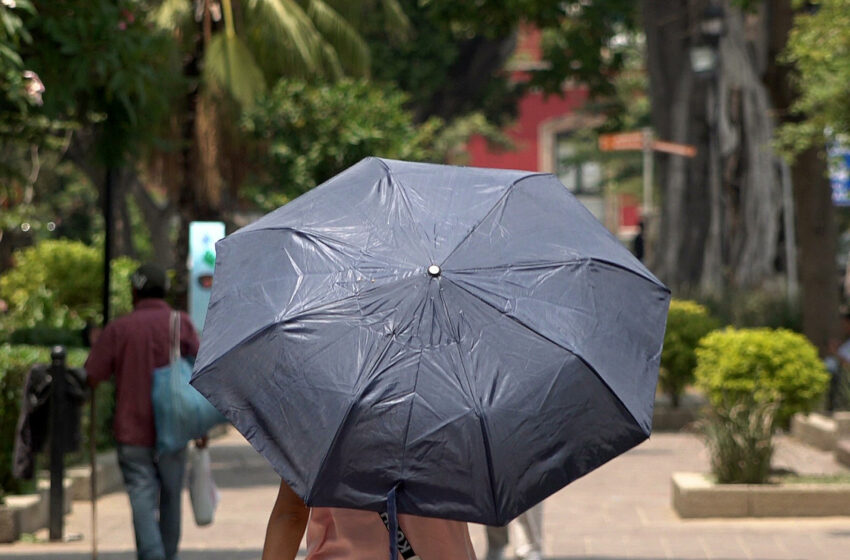  Chihuahua, Sonora y Sinaloa permanecen en condiciones extremas de calor – Noro