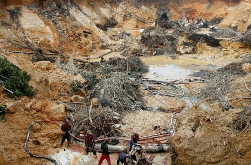  Militares sacan a más de cuatro mil mineros ilegales de la Amazonía venezolana