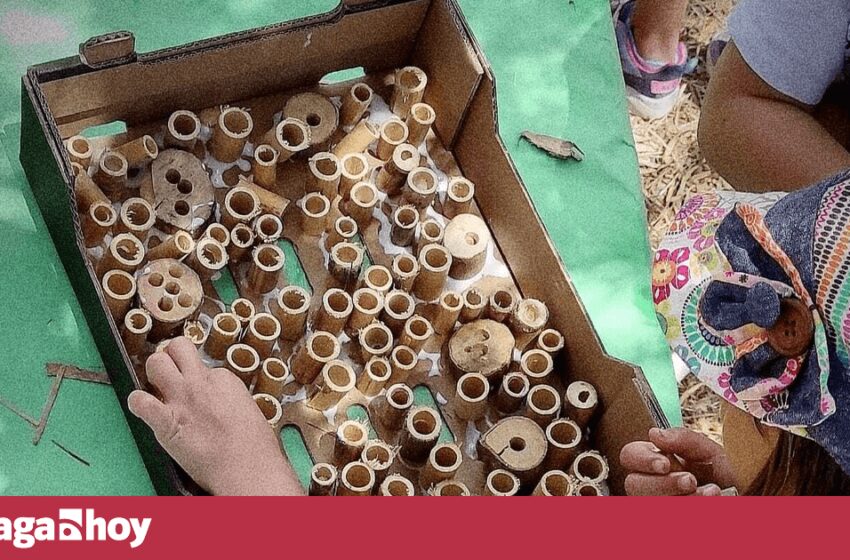  Rincón de la Victoria conciencia a más de 2.000 estudiantes sobre la importancia … – Málaga Hoy