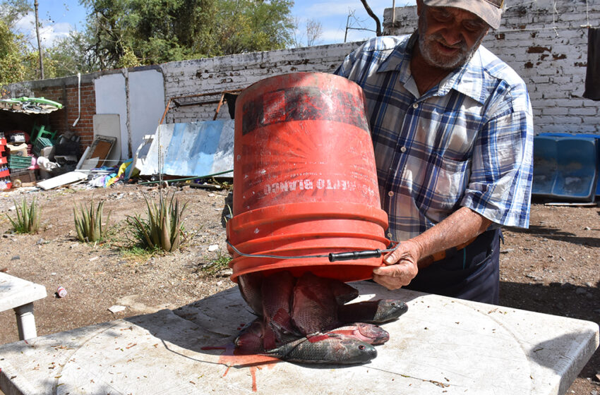  Pescadores pasan 'las de Caín' – El Heraldo de León