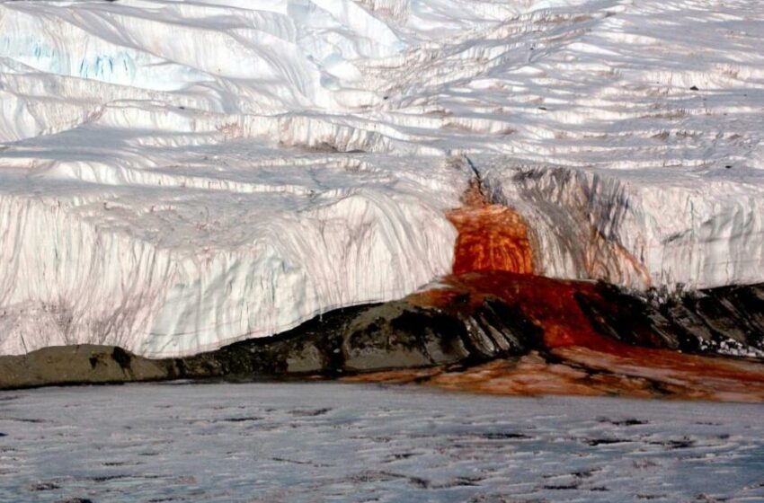  Revelan finalmente el misterio de las «cataratas de sangre» en la Antártida
