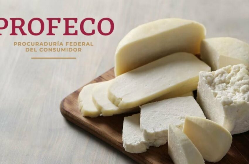  Es el mejor queso manchego y también el más barato, según Profeco | Terra México
