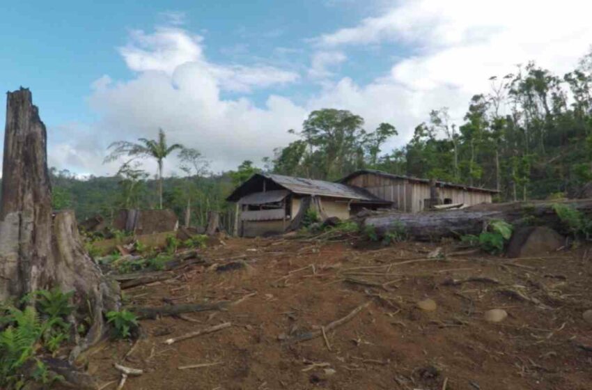  Tema ambiental no ha sido una prioridad en Nicaragua, lamenta ambientalista Amaru Ruiz