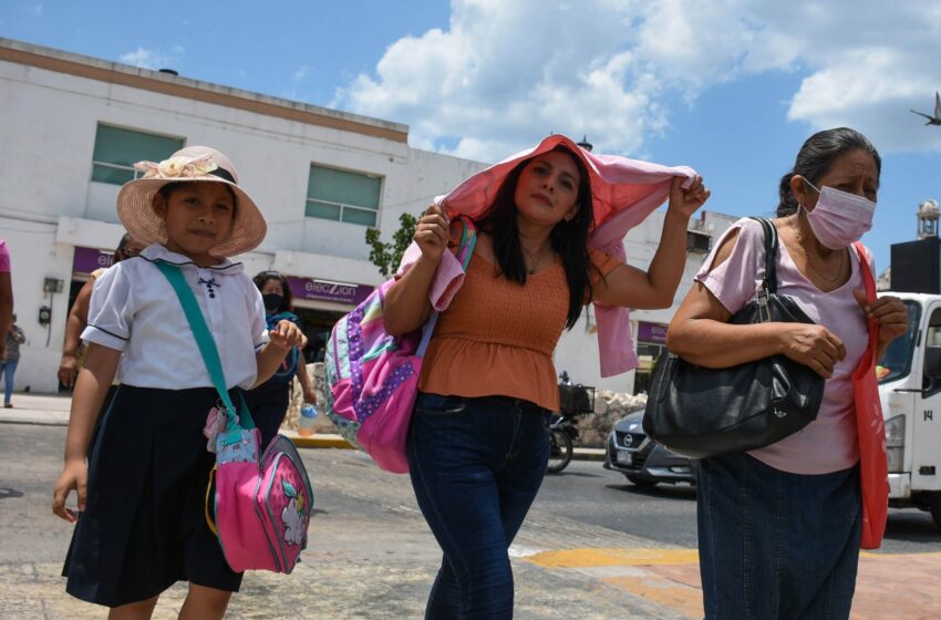  Nuevo León, el estado con más muertes por golpes de calor en el país – Reporte Indigo