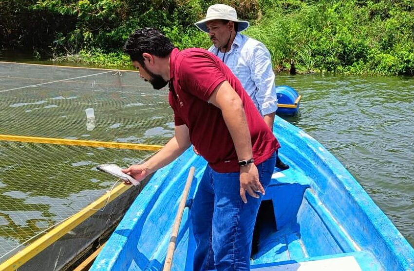  Gobierno del Estado impulsa el crecimiento para el sector pesquero en la zona sur de Tamaulipas