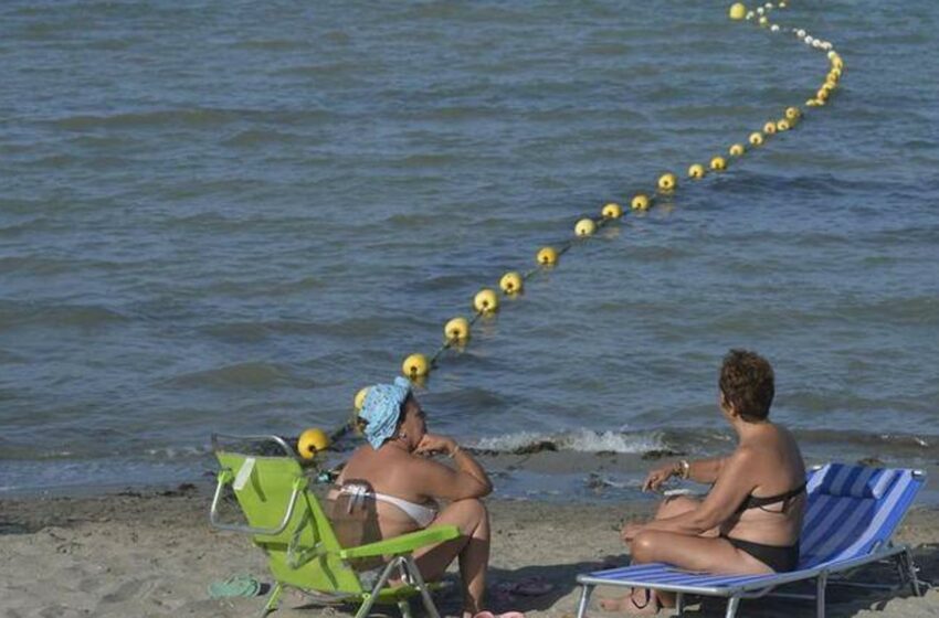  Medio Ambiente insiste en seguir vigilando y monitorizando las medusas sin instalar redes