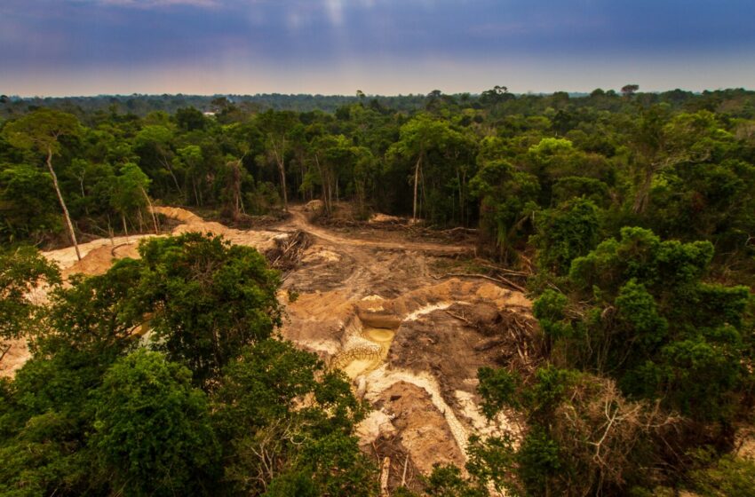  La cumbre de la Amazonía concluye sin acuerdos concretos pero insta a los países desarrollados a cooperar