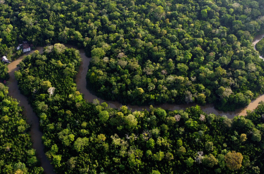  Comienza la cumbre de la Amazonía para garantizar la supervivencia de la mayor selva tropical del planeta