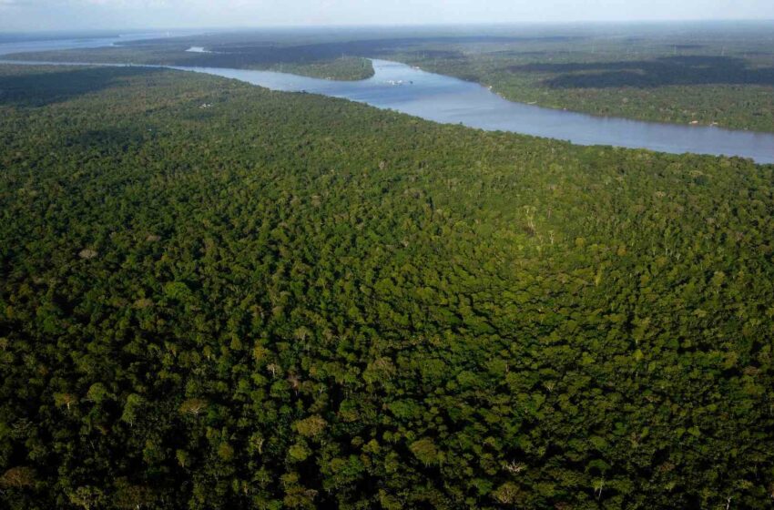  Los países amazónicos adoptan una nueva agenda para la Amazonía sin metas concretas sobre deforestación