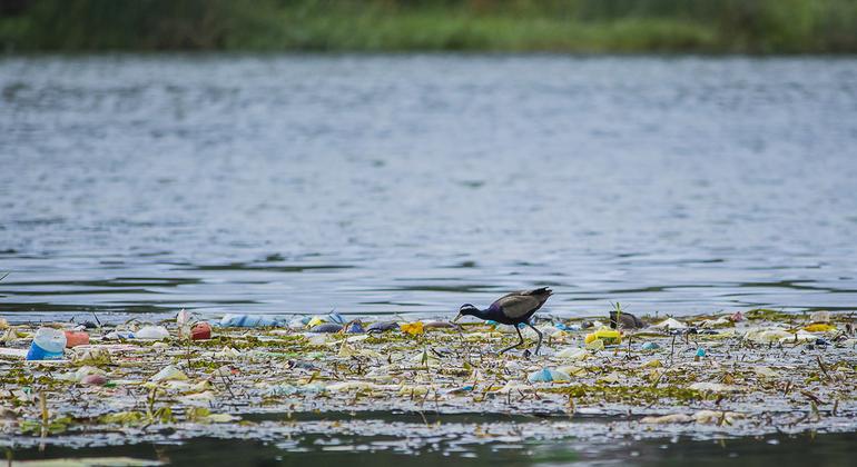  Colombia, Jamaica y Panamá se unen para combatir la contaminación urbana del plástico