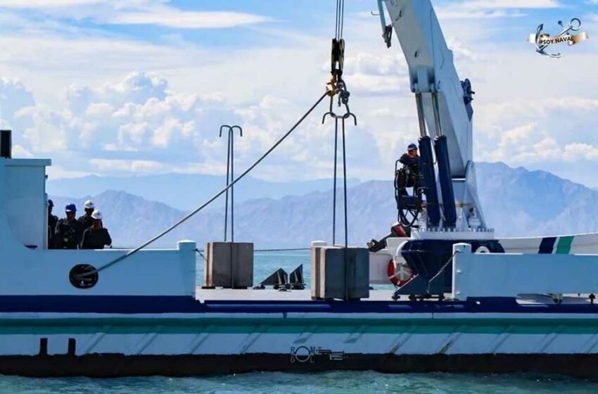  Sembrarán más bloques de concreto en hábitat de vaquita – El Diario de Chihuahua