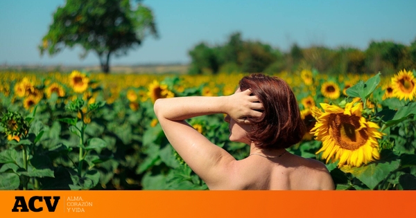  Una granja británica de girasoles pide que dejen de posar desnudos para sesiones de fotos