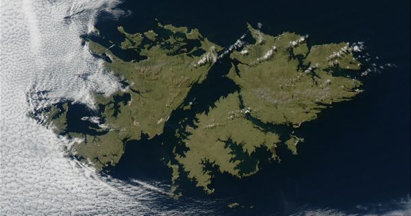  El deslumbrante descubrimiento de un grupo de científicos en las Islas Malvinas que cambia la historia