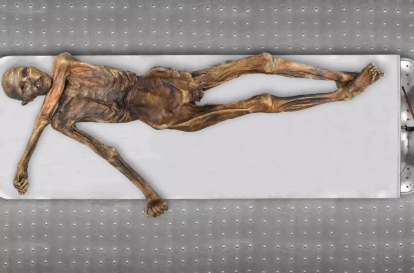  El hombre de hielo Ötzi era calvo, de piel oscura y con ascendencia anatolia