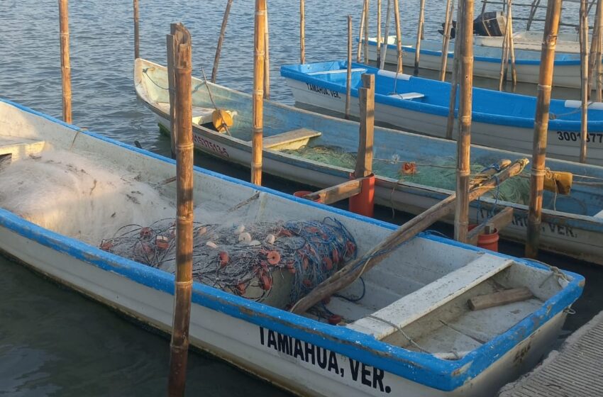  Peligran artes de pesca – El Heraldo de Tuxpan