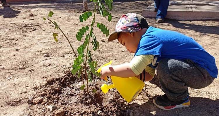 Párvulos del Jardín Infantil “Blanca Nieves” contribuyen con el medio ambiente plantando …