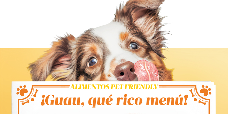  Alimentos de humanos pueden comer los perros – aderezo.mx