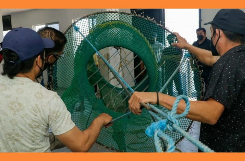  Los dejarán al 100… Capacitarán a pescadores para proteger a la tortuga marina – Punto MX