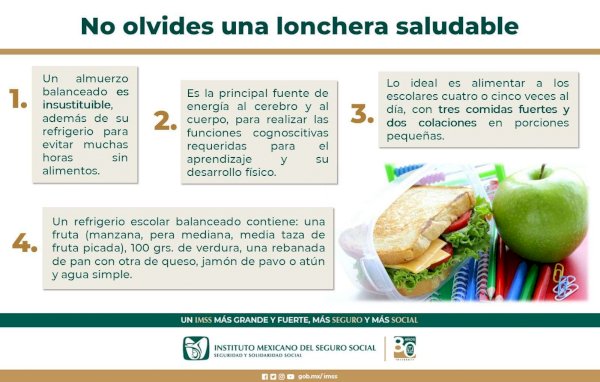  Recomienda ImssChihuahua refrigero saludable en este regreso a clases