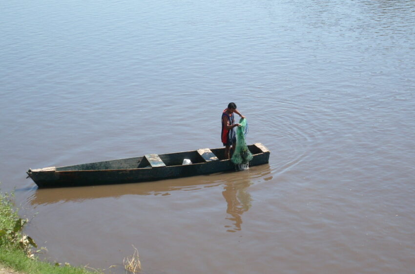  Pescadores organizados mantienen sus permisos en regla: AC – El Heraldo de Martínez