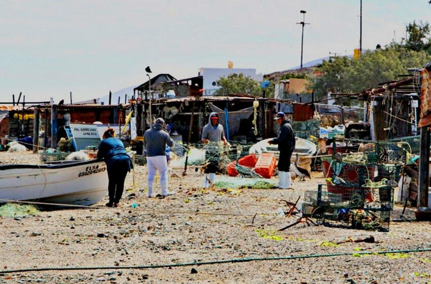  Abren programa de seguro de vida a pescadores y acuacultores – El Sudcaliforniano