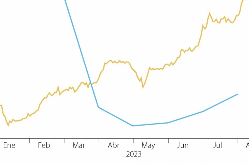  Rublo se desploma por encima de 100 por dólar por primera vez desde marzo de 2022