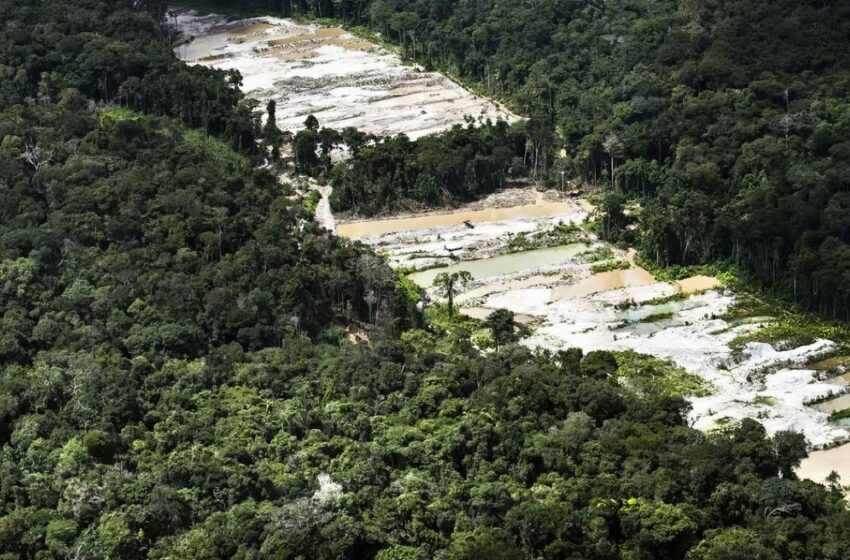  Cumbre Amazónica: ecologistas critican la falta de objetivos concretos