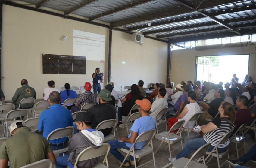  Capacitan a ambulantes sobre manejo higiénico de alimentos en Delicias