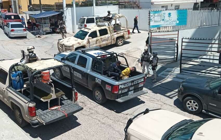  Capturan y procesan a hombre por 'halconeo' en Sonora – Milenio