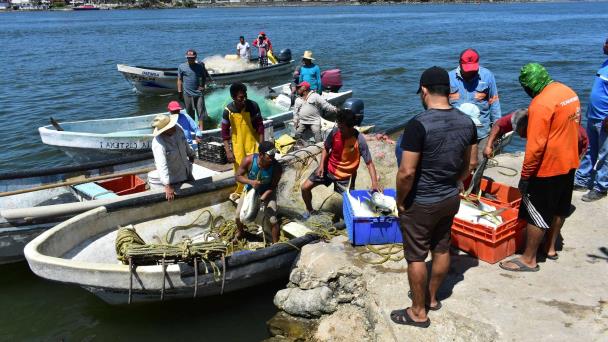  Piden pescadores de villa Allende su tarjeta para apoyos – Diario del Istmo