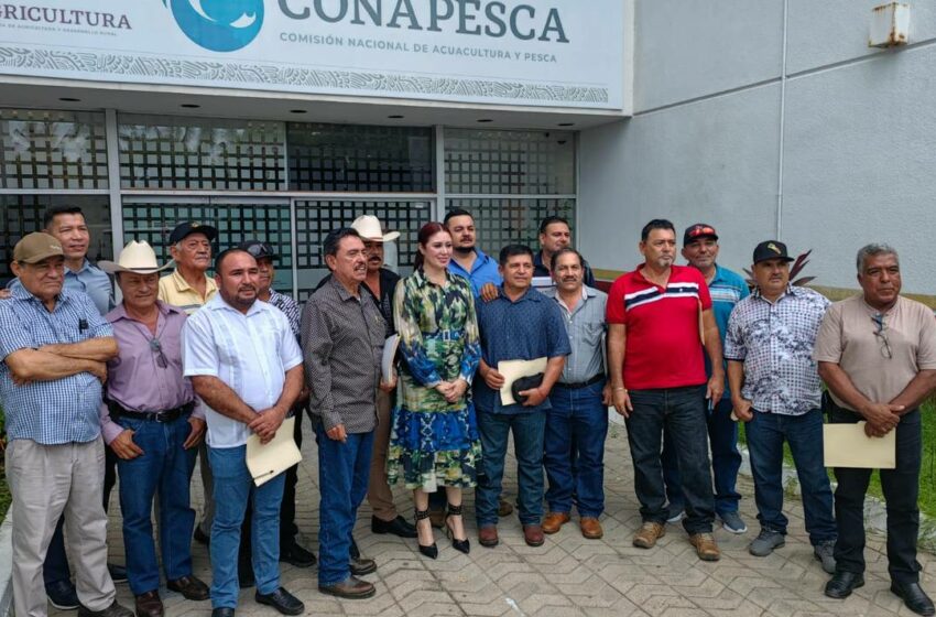  Proponen regionalización de la pesca en Sinaloa – El Sol de Mazatlán