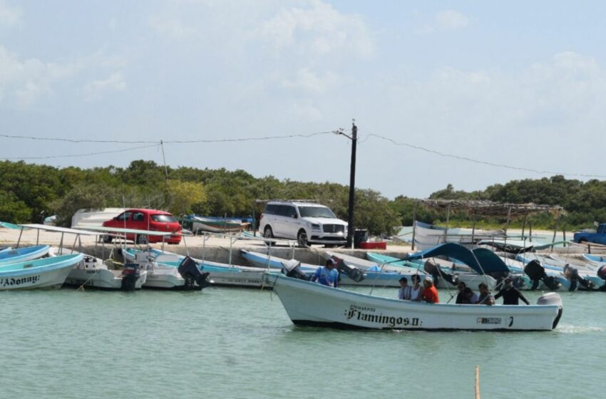  Pescadores foráneos llegan a Progreso para adueñarse de la temporada de pulpo