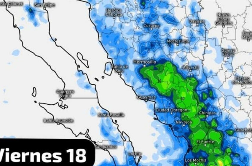  Sonora, en Alerta Verde por huracán 'Hilary'; Conagua da el clima para el fin de semana