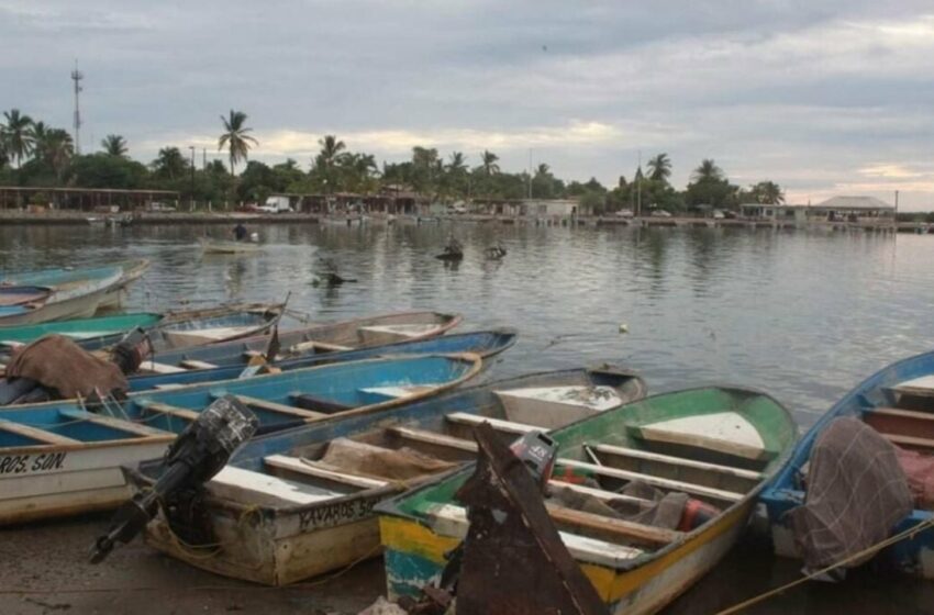  Sonora: Ante amenaza del Huracán 'Hilary' cierran el Puerto de Yavaros | TRIBUNA