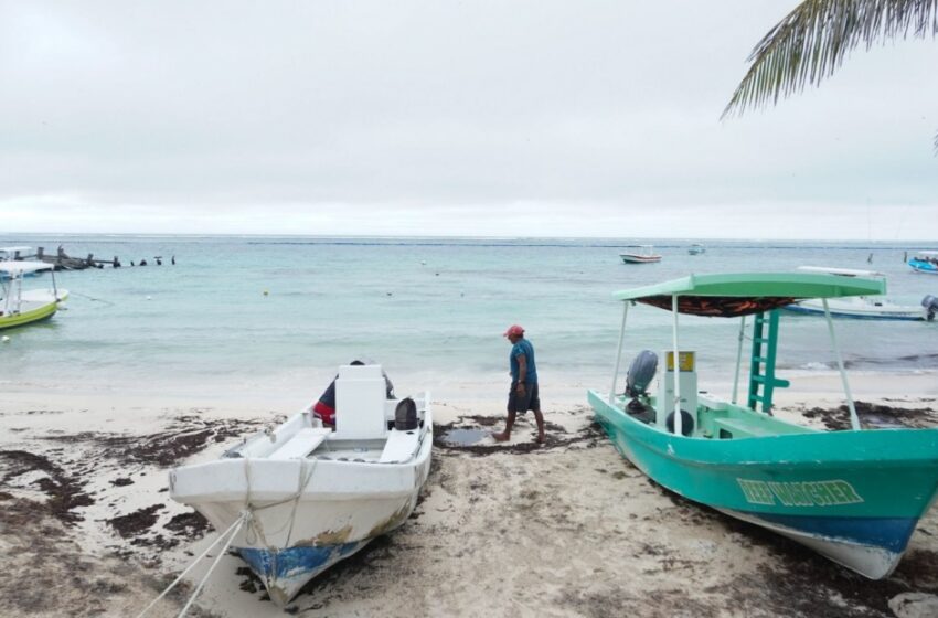  La tormenta tropical "Dora" se aleja de las costas de México – Latinus