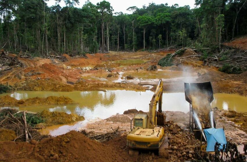  La minería salvaje llevó la deforestación a rangos exponenciales en Venezuela – Cambio16