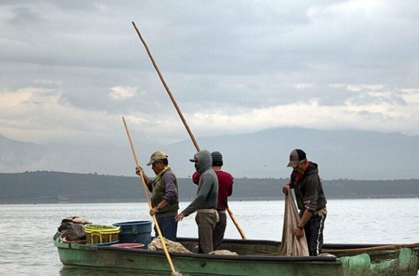  Robo y escasez de peces afectan a pescadores de Acámbaro y Tarimoro – Periódico Correo