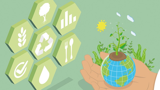  Alimentos agroecológicos, un puente entre nutrición, salud y sostenibilidad