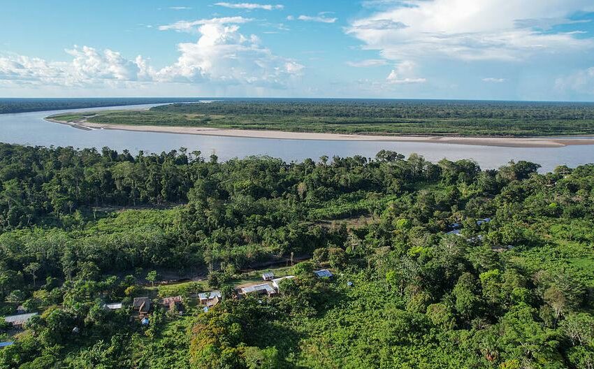  Madre de Dios: Corte de Justicia dictó 243 condenas por delito de minería ilegal – Gestión