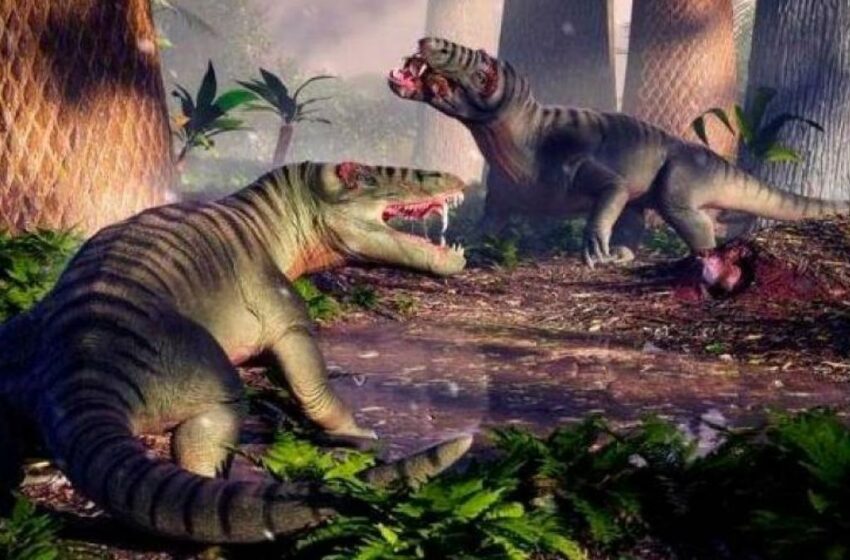  Nuevos detalles del feroz carnívoro que reinó en el sur de América mucho antes que los dinosaurios