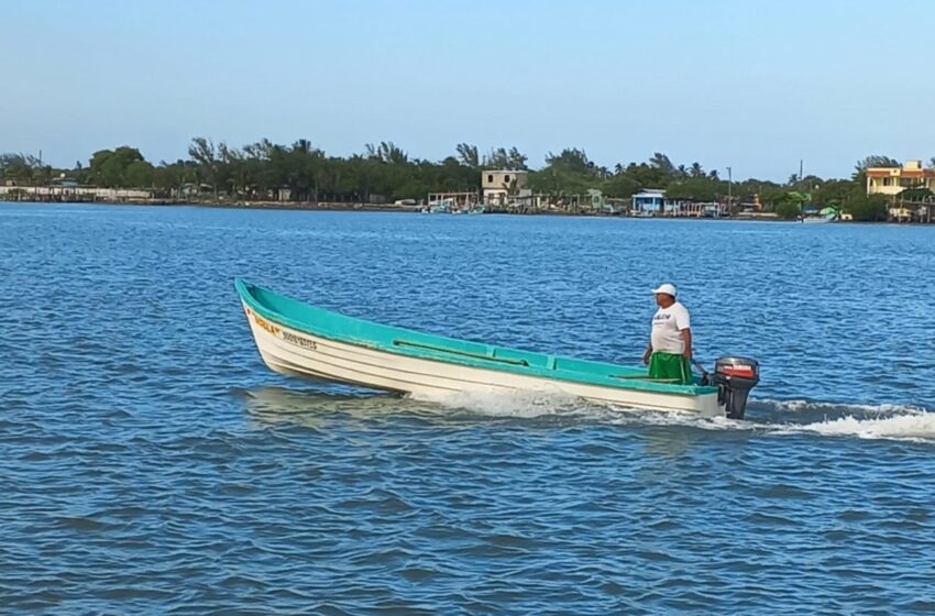  Crisis en el sector pesquero – El Heraldo de Tuxpan