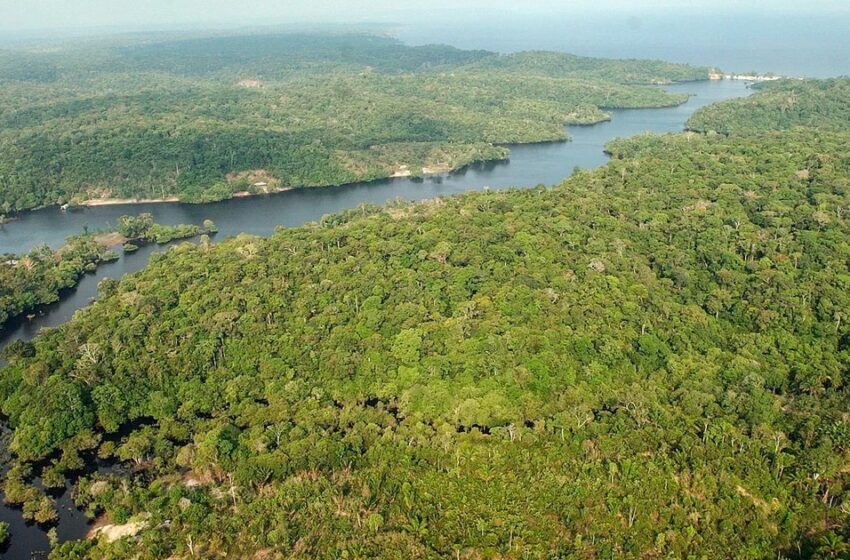  SOS Orinoco denunció la persistencia de la minería ilegal en la Amazonía venezolana