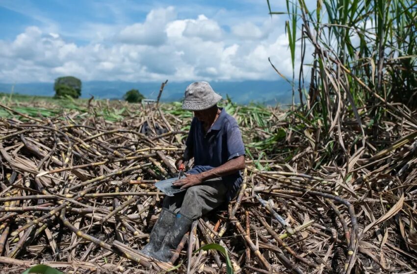  Colombia definió la estrategia con la que enfrentará el Fenómeno de El Niño