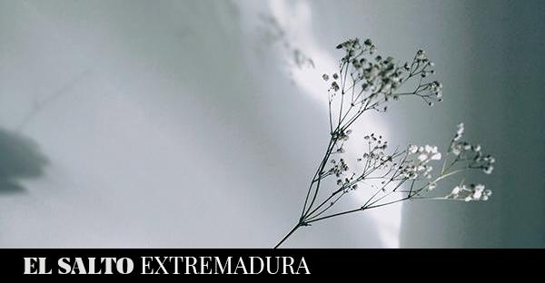  Medio ambiente | De Gaia o de la vida como propósito – El Salto – Extremadura