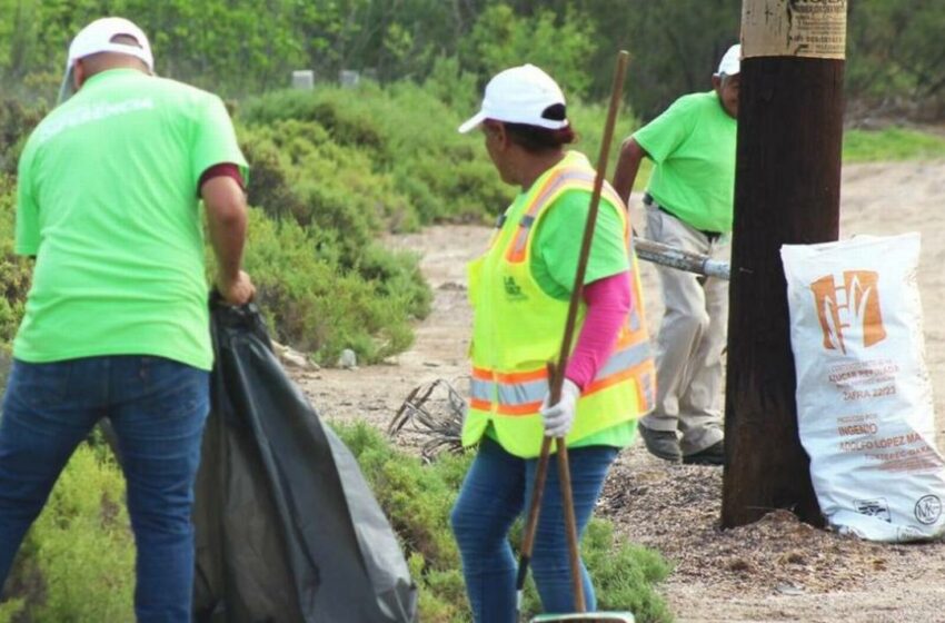  Fomentan el cuidado del medio ambiente y el reciclaje – El Sudcaliforniano