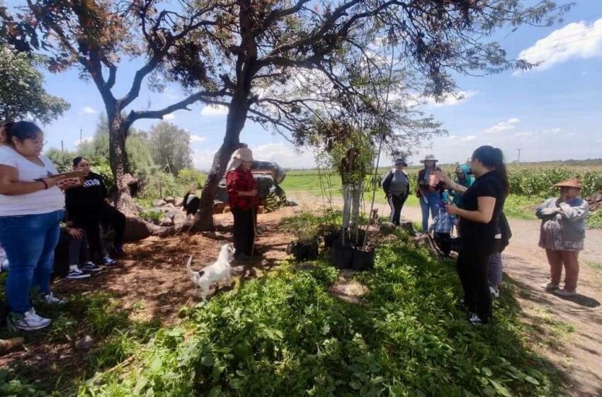  Dirección de Medio Ambiente realizó donación de árboles – El Sol de Salamanca