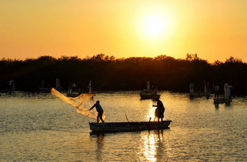  Costas de Sinaloa están libres de piratería y pesca ilegal, asegura Octava Región Naval