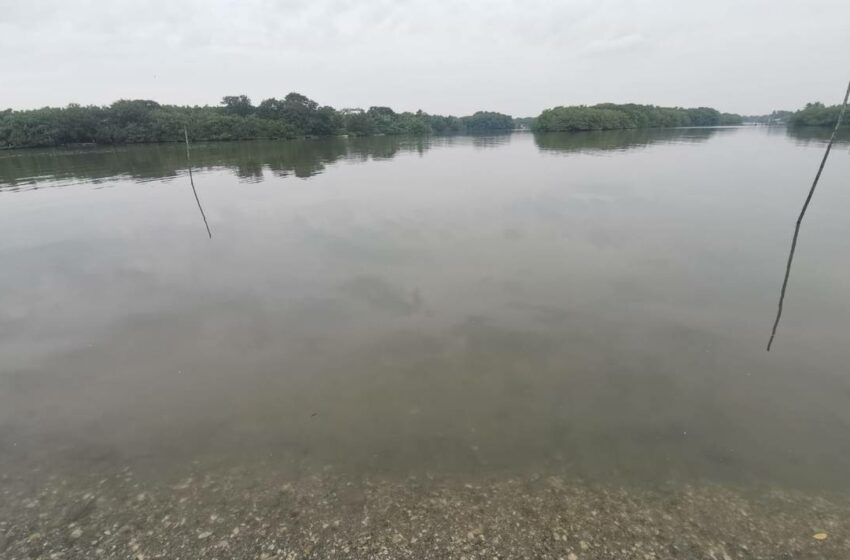  Escasez de peces y mariscos en Cabo Rojo: pescadores exigen apoyo para la acuacultura